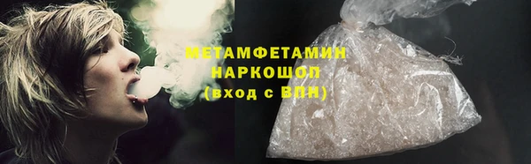 индика Алексин