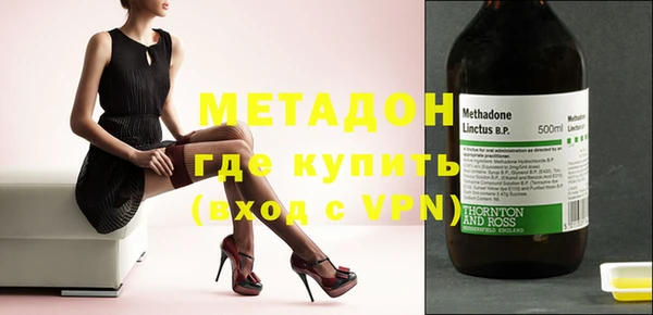 индика Алексин