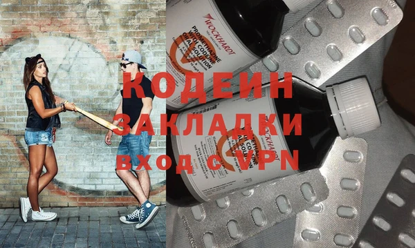 индика Алексин