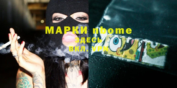 индика Алексин
