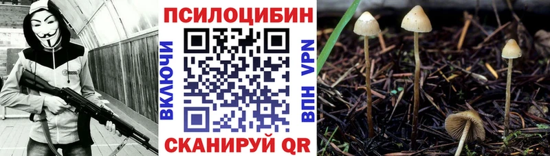 Галлюциногенные грибы ЛСД  купить  сайты  Берёзовский 